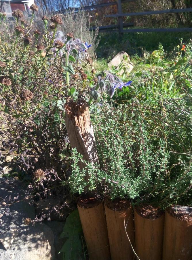 فيلا لانكورونافي Agroturystyka U Maciejowej المظهر الخارجي الصورة